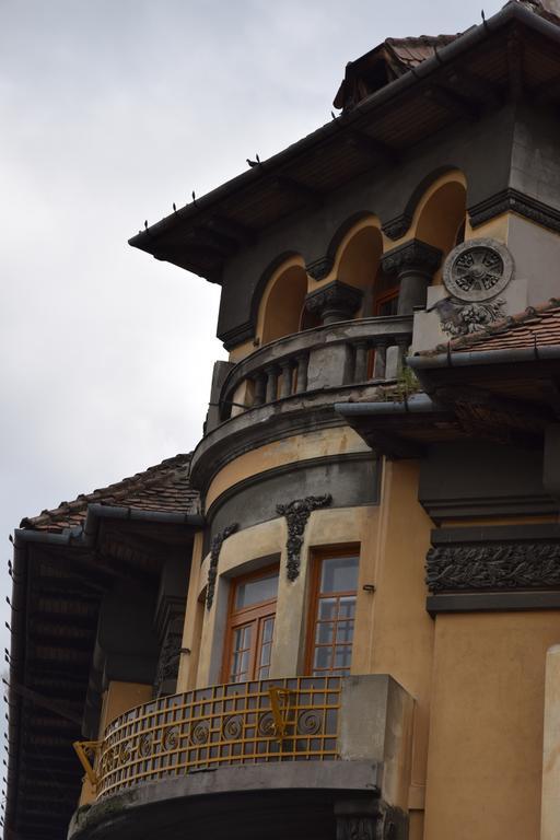 Haydn Vintage Apartment Braşov Exterior foto