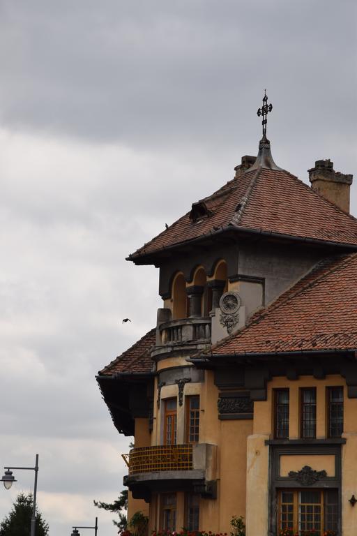 Haydn Vintage Apartment Braşov Exterior foto